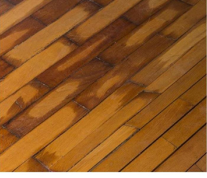 Closeup of water damaged hardwood floors